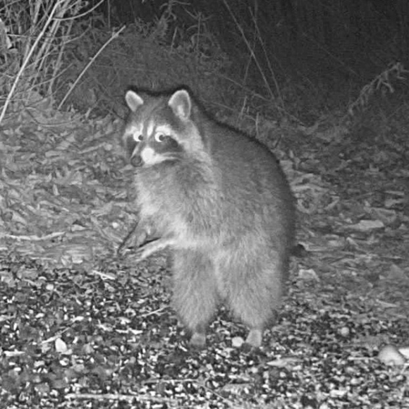 Meet your Posher, Christina - Picture 1 of 1